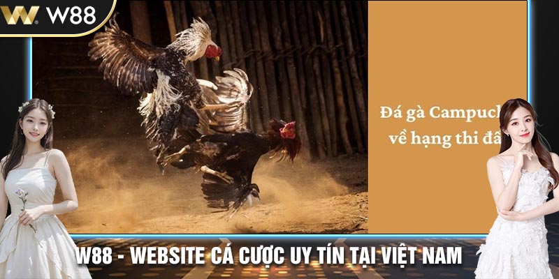 Quy định về chạng thi đấu 