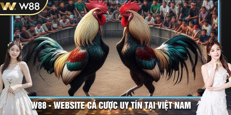 đá gà cựa sắt