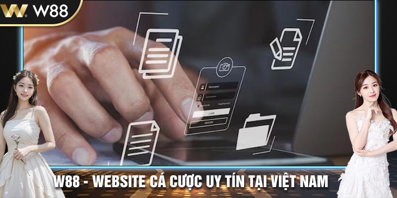 Điều khoản và điều kiện khi cung cấp thông tin đăng ký