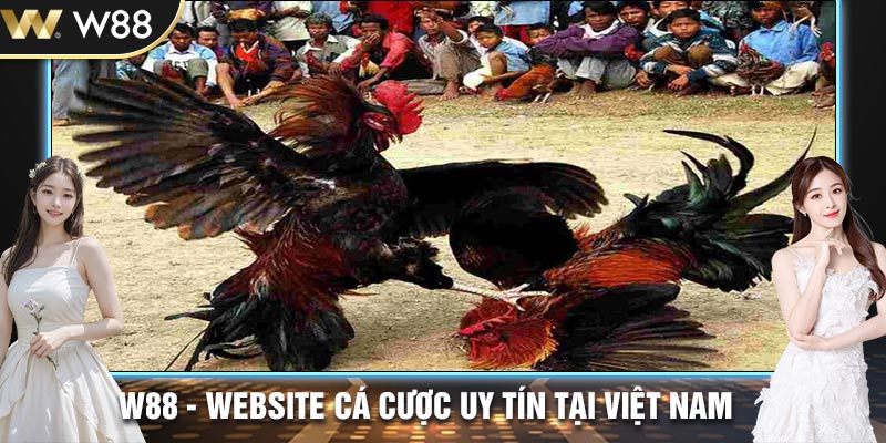 Các Trò Chơi Đá Gà Tại W88 Được Yêu Thích Nhất Hiện nay