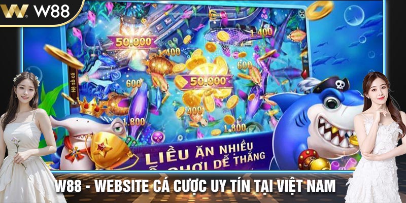 Một số câu hỏi liên quan đến tải app chơi bắn cá